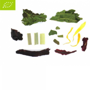 FITNESS TEA BIO
